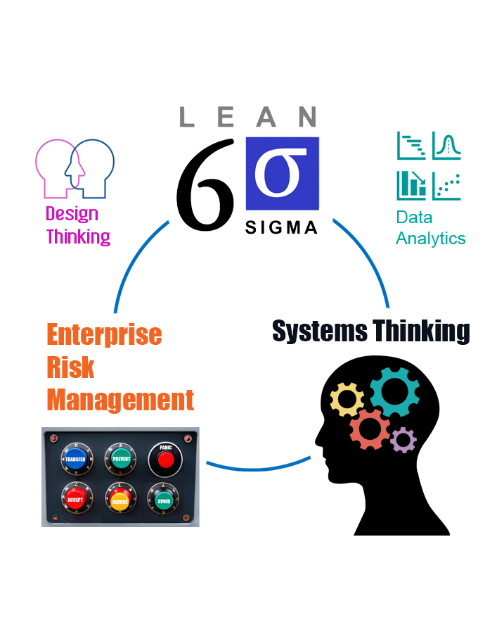 LSS+SysThink+ERM1